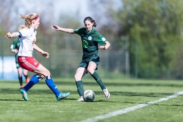 Bild 261 - wBJ Hamburger SV - WfL Wolfsburg : Ergebnis: 2:1